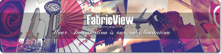 Fabric View